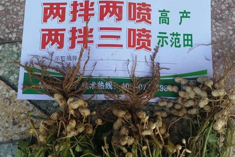 花生追肥用什么肥料最好？