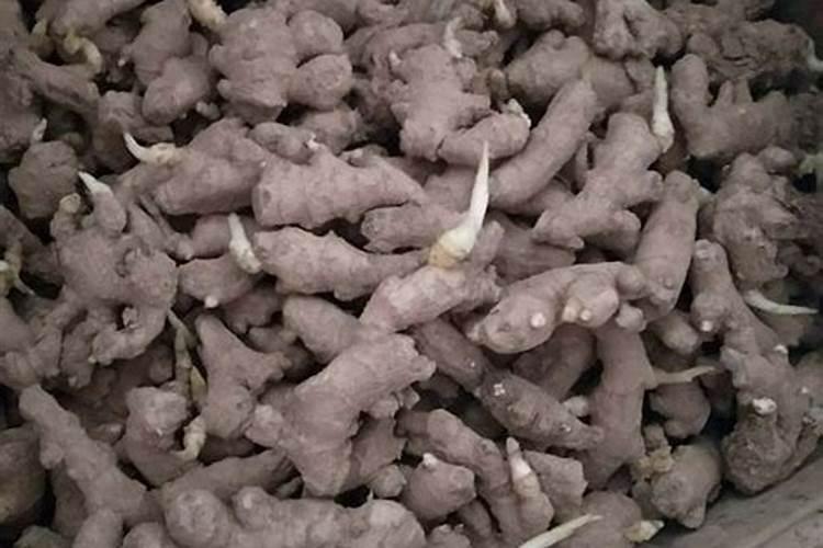 生姜的种植追肥很重要,生姜种植该怎么追肥？