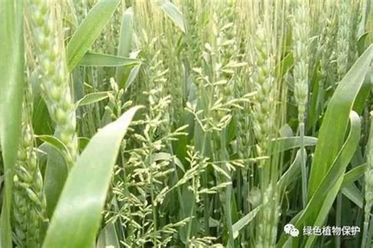 肥料销售话术和技巧 肥料销售的方式
