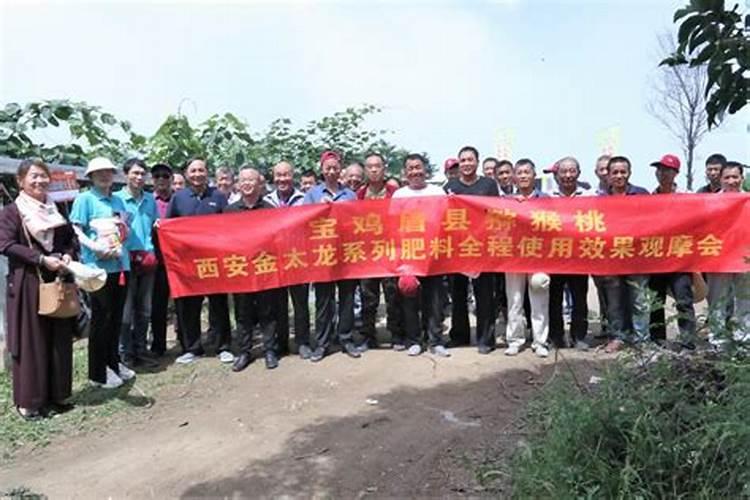 国内氨基酸水溶肥生产厂家有哪些？