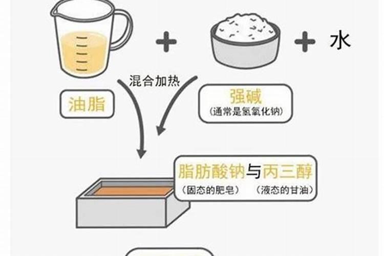 泰迪狗粮排行榜,给一个全面点的？  知乎