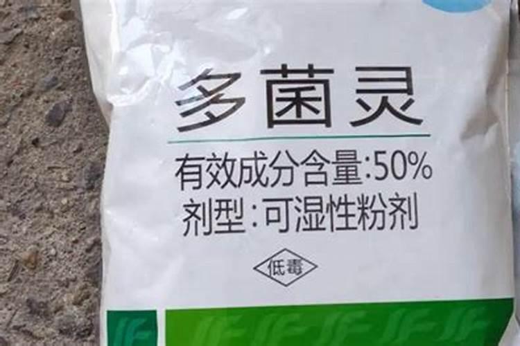 绣球花夏天多久浇一次水