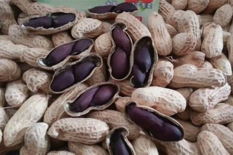 种花生施什么肥料好