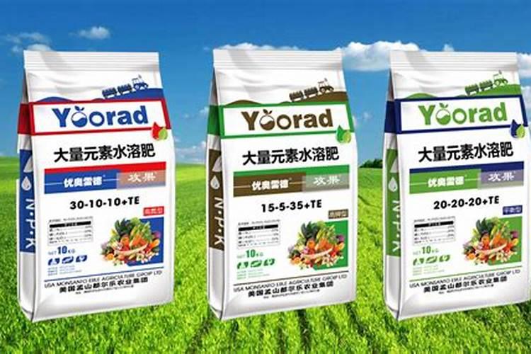 盆栽植物如何施肥,盆栽植物施什么肥效果好