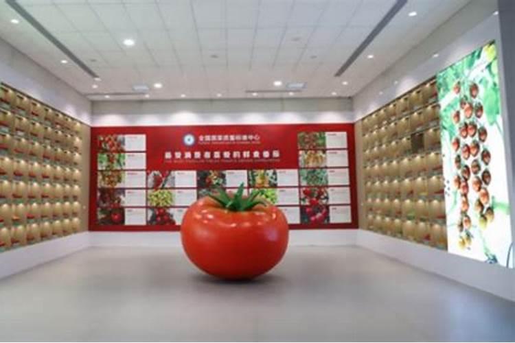小麦灌浆期打什么叶面肥