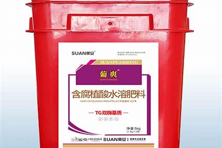 兰花喷叶面肥和浇水需要注意些什么