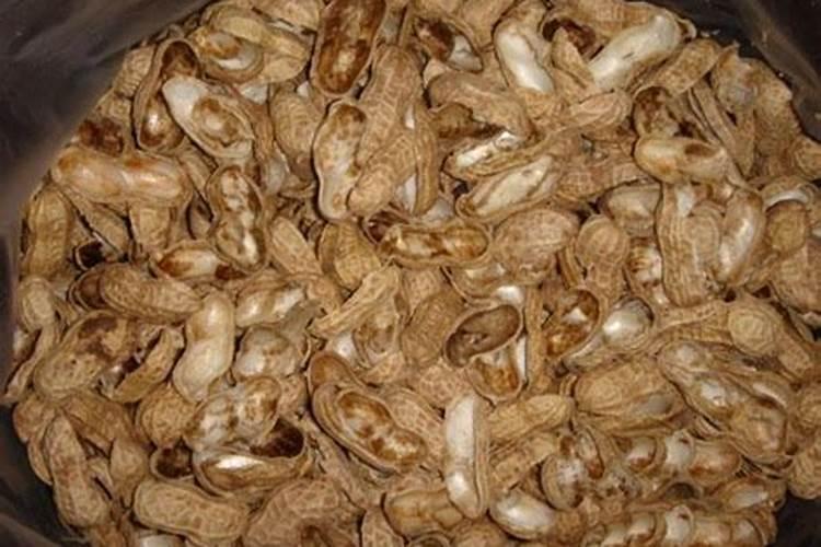 怎么会说扔花生壳就是扔钱,用水泡一泡它能有啥厉害的用途呢？