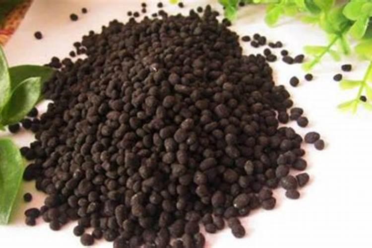瓜果蔬菜叶面肥的正确使用方法(什么时候打叶面肥好)