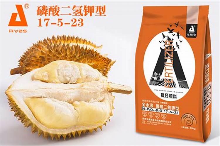 榴莲小苗叶子都掉光了怎么重新长出来