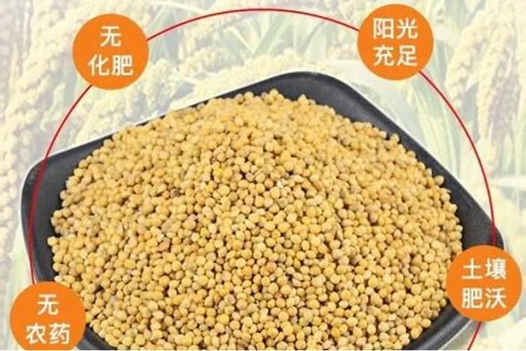 草莓开花了可以施什么肥