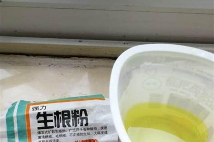 石榴开花时能浇水吗