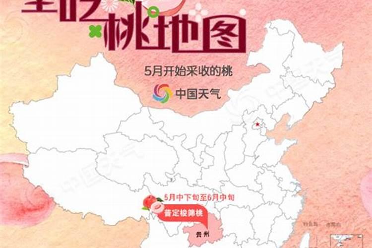 桃子初果期可以浇钾肥水吗