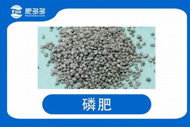 施肥是葡萄高产的手段,什么肥料才是葡萄最好的肥料？