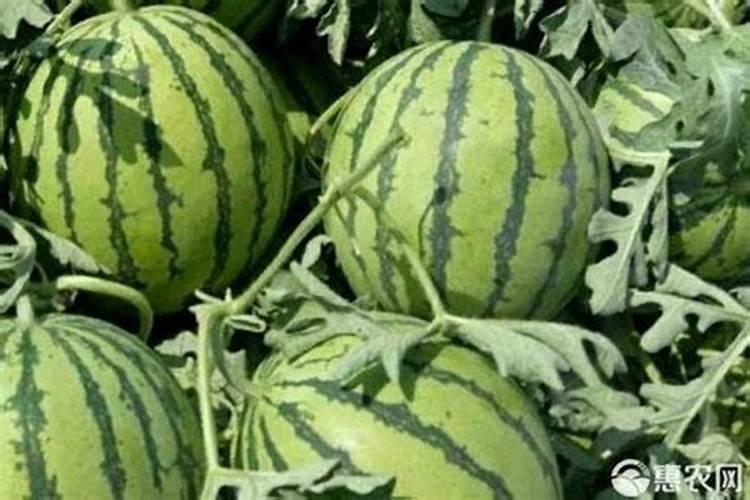 1斤化肥配多少斤水才对植物生长最好