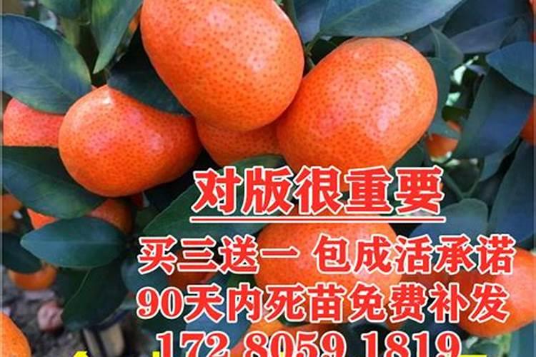 尿素的肥效期是多少天