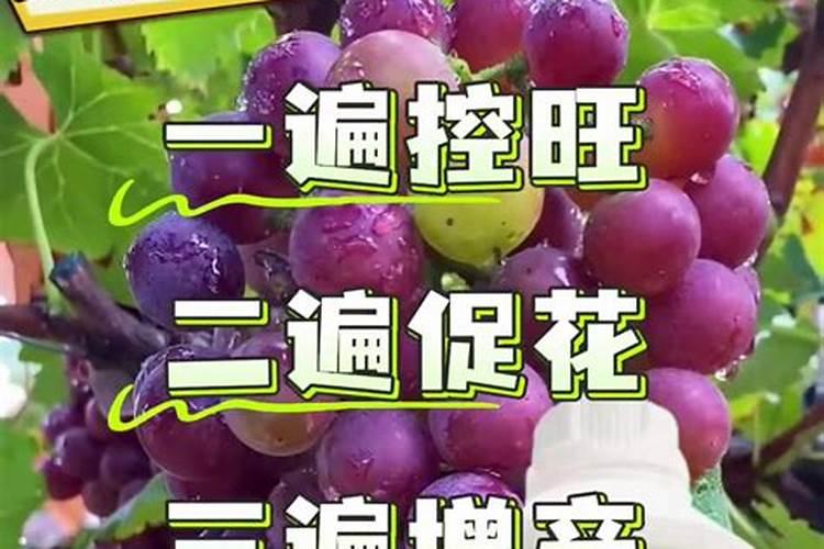 亚磷酸钾怎么样达到控旺效果