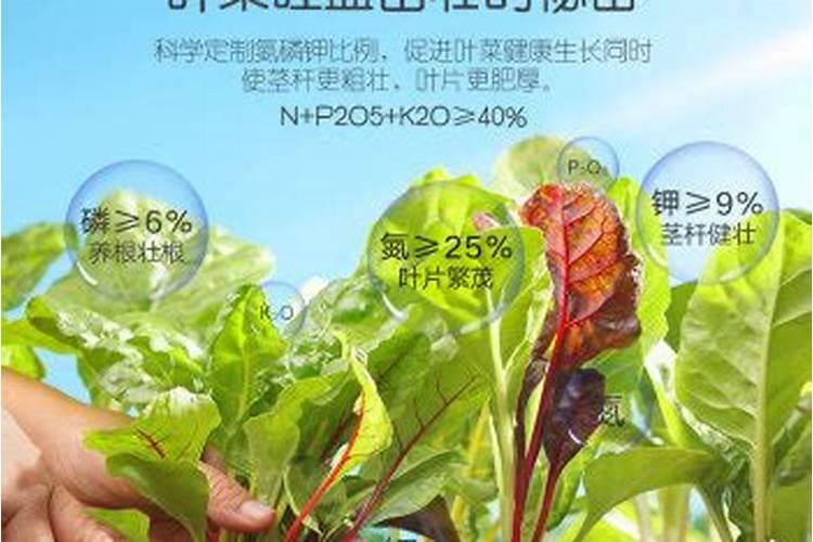 马尼拉草坪施肥用什么牌子肥料