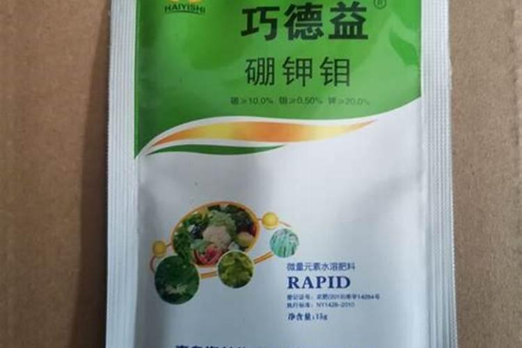 桃子什么时候是膨大期