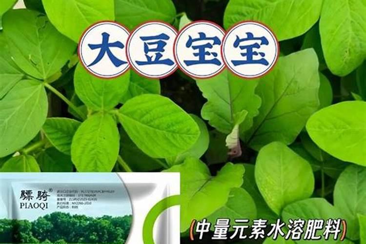 豆腐水可以浇花吗