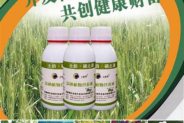 新栽的果树多久可以施肥