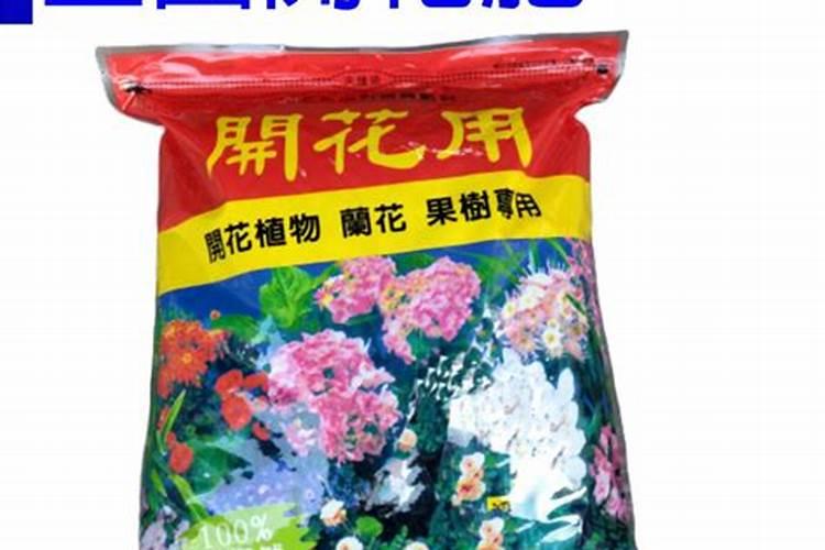九里香怎么养,才能多开花!