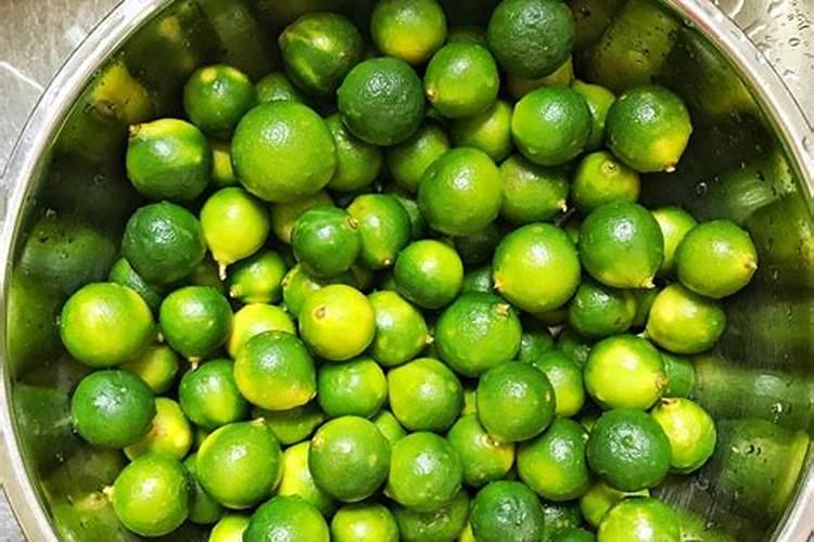 青金桔怎么泡水