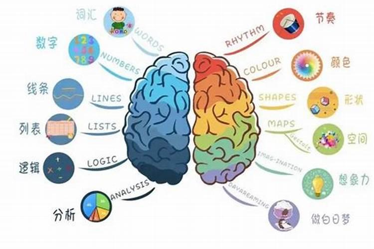 如何记住土壤中常见的大量元素和微量元素的数目？