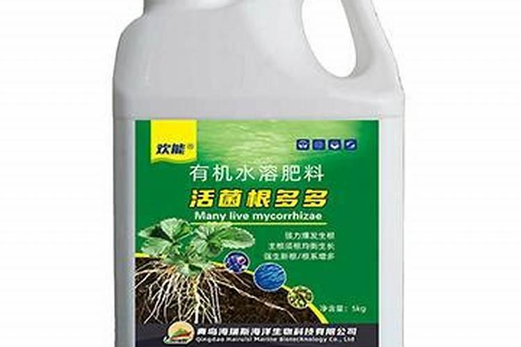 叶绿素控旺多久喷一次