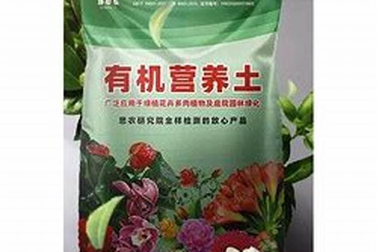 鲤鱼肚子里有那种大块的白色的像白油的东西是什么啊？能吃吗？