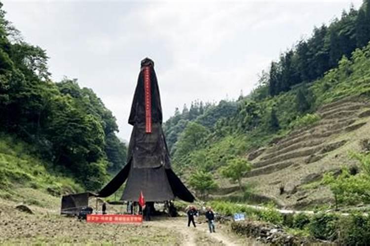 中远海特股票分析与东方财富网