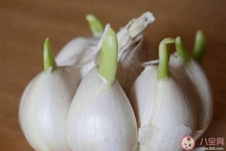 大蒜发芽后多久可以施肥 大蒜发芽后几天可以施肥