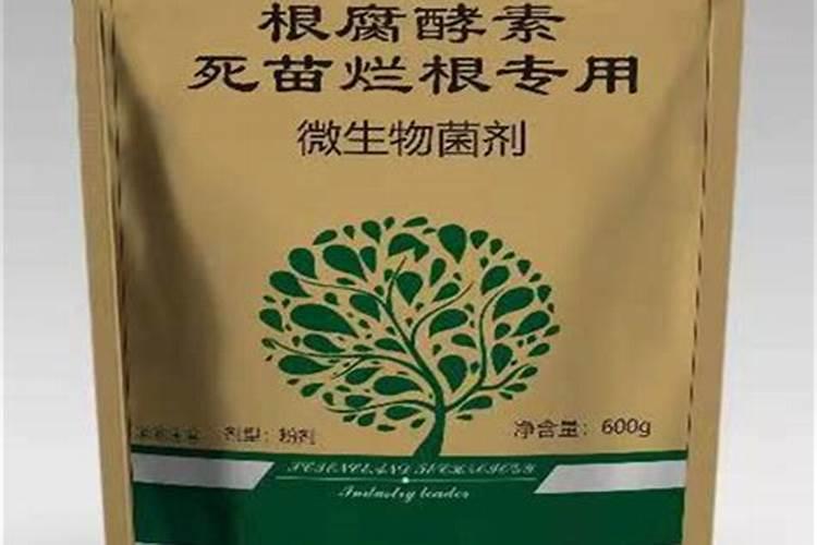 瓜蒌怎么种植技术