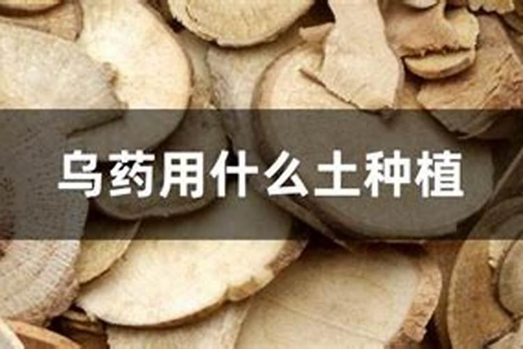 草莓根腐病用什么药灌根好根腐病用什么药灌根好