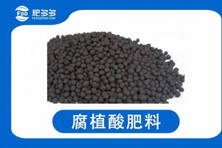 蓝莓采摘后灌根用什么土