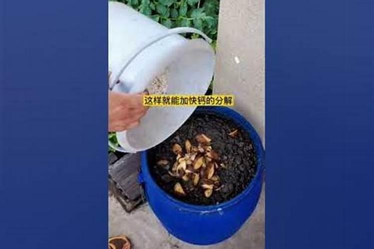 自制花肥加点料,不发臭不招虫,养花必备