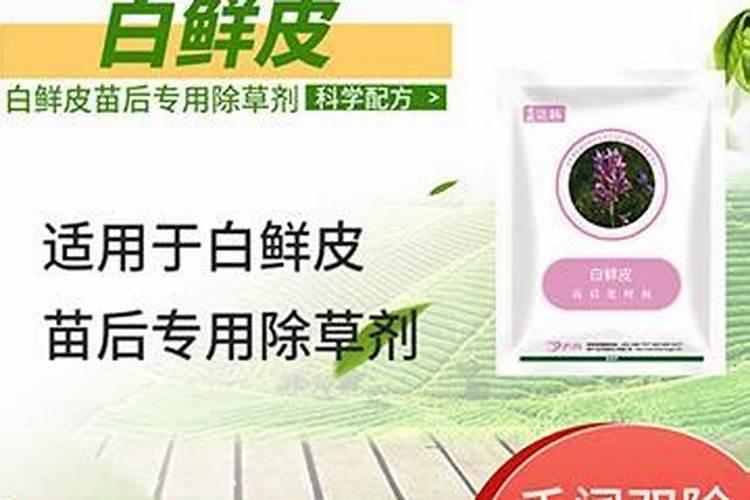 移栽后的白鲜皮可以打叶面肥吗？
