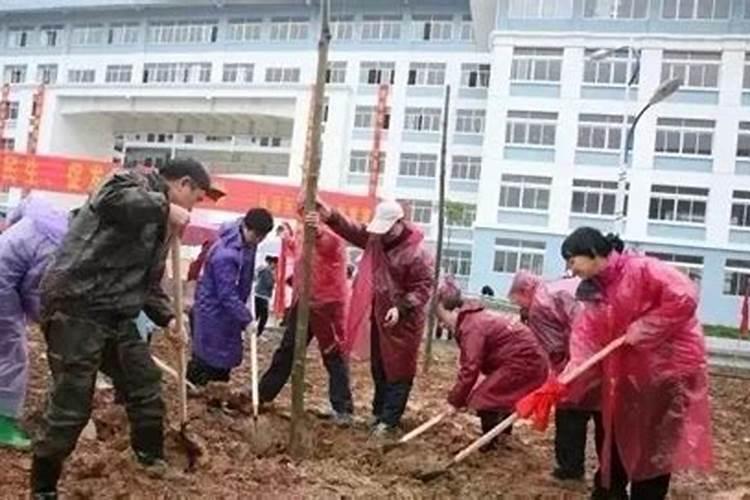 巧棵力水溶肥在芹菜上的效果如何？