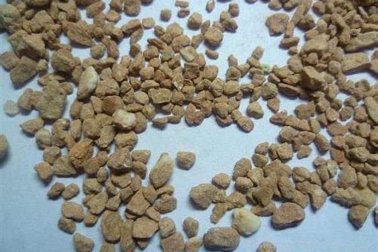 十大品牌氨基酸水溶肥有哪些