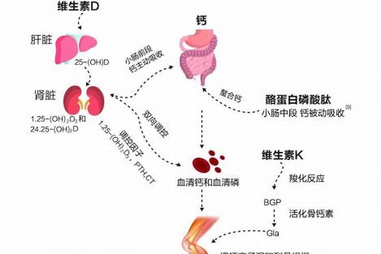 硝酸铵钙肥几天见效