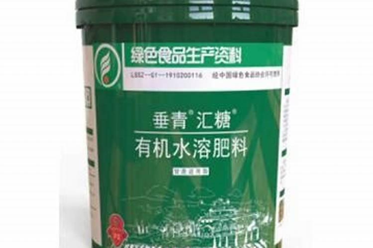 请问我的柑橘苗怎么了？