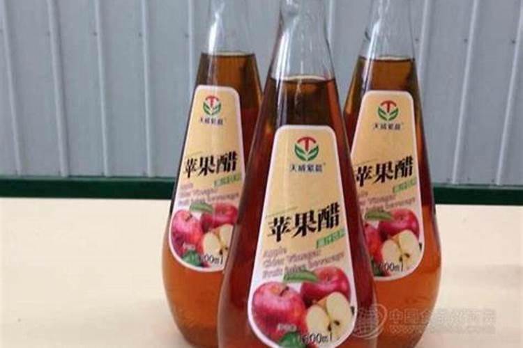 蓝莓怎样越冬