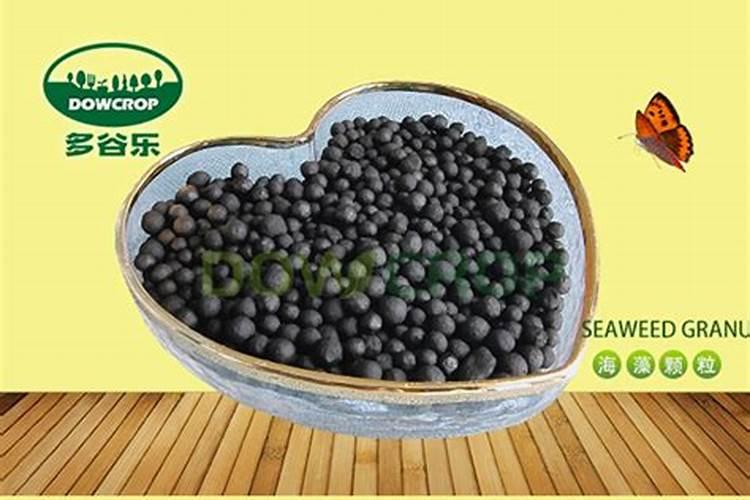 滴灌二铵18460硫基是什么意思