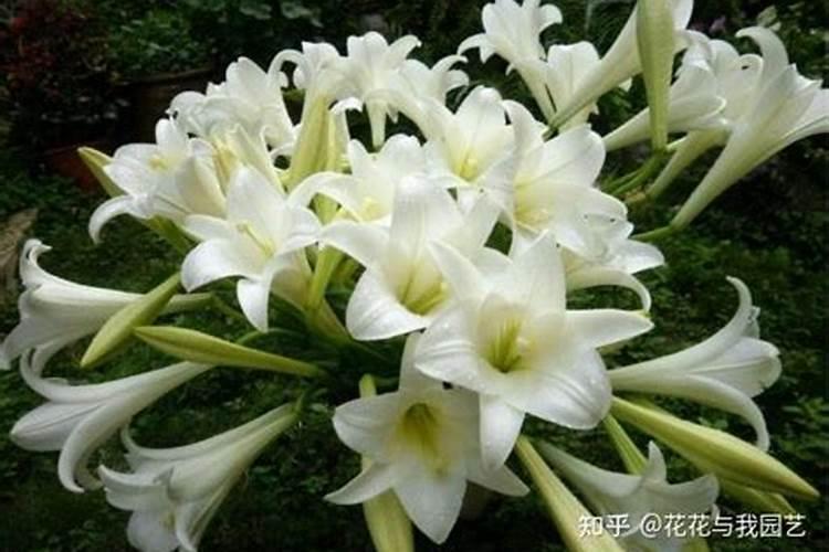 雪巧乐注册过商标吗？还有哪些分类可以注册？