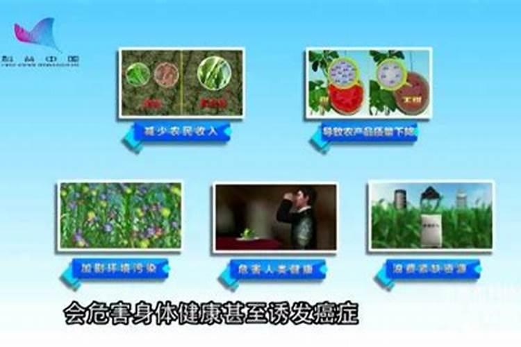 硅肥过量的危害