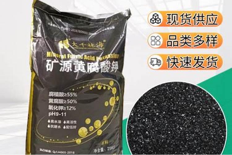 云南花魔芋种植需要注意的事项