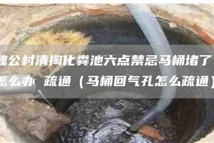 油菜的营养价值及功效与作用