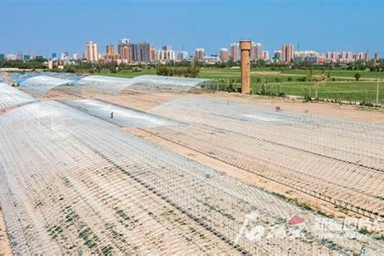 新疆腐植酸的价格大概是多少？主要在哪生产。