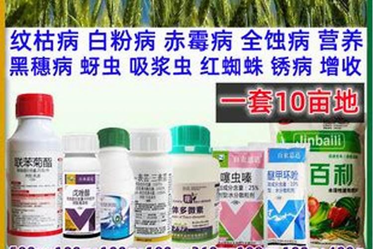 怎么治疗葡萄白粉病
