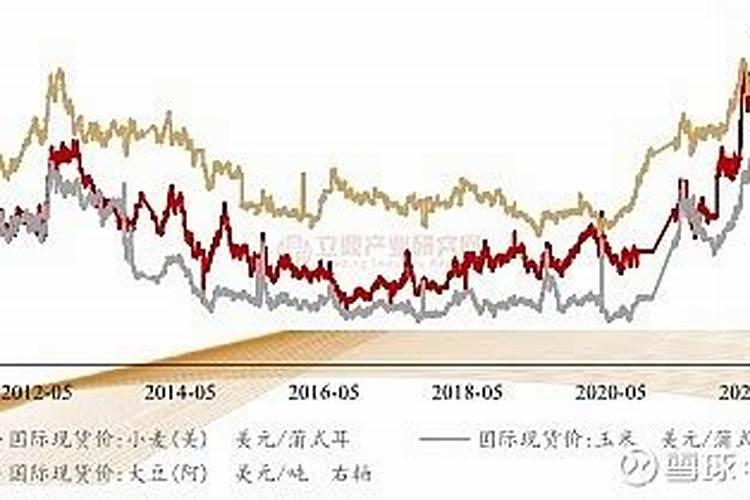 目前国内肥料现状是什么？