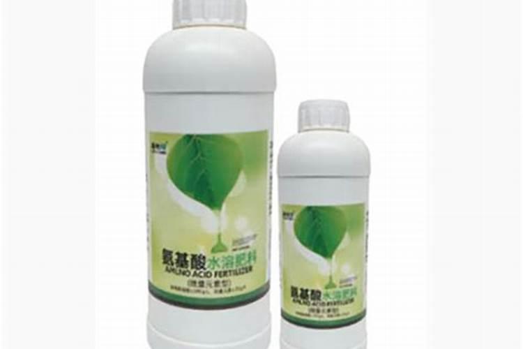 水溶肥如何给多肉施肥？